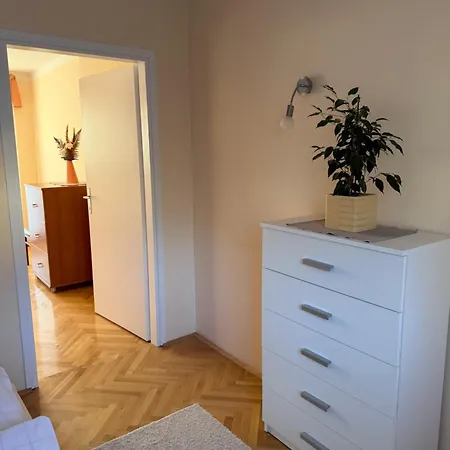 Apartma Kati 公寓